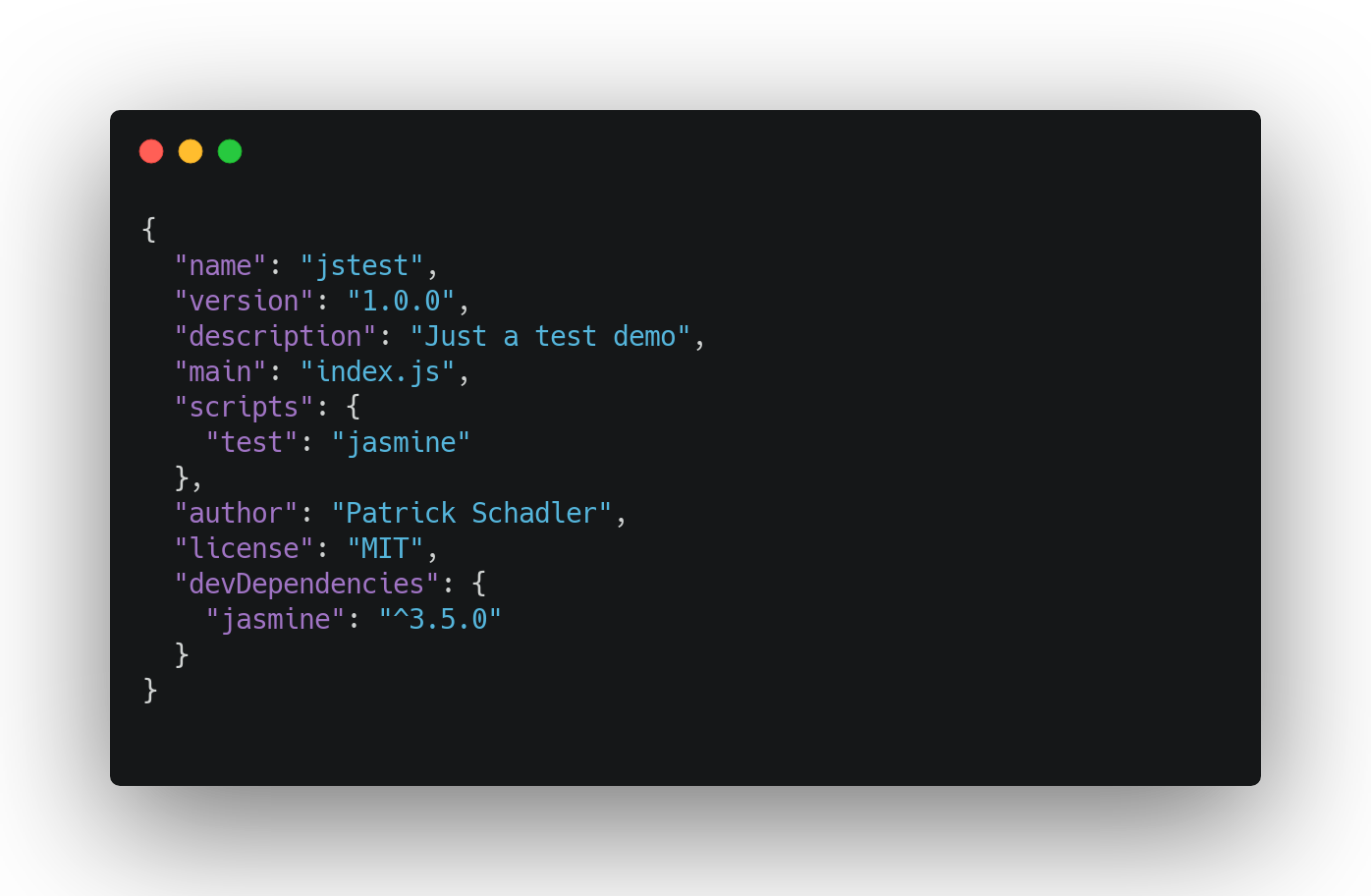 package.json file